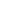 Icon Rund